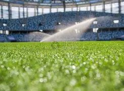 雨夜激战亚,光州力克申,花取胜,世界杯比分,2026世界杯,比分直播,赛事回顾,足球比分